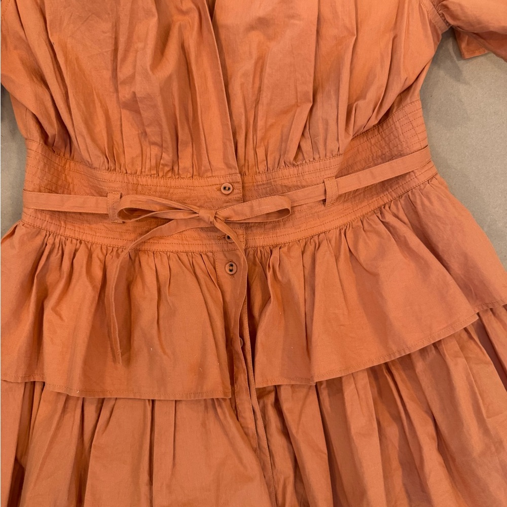 Ulla Johnson Terracotta Ruffled Mini Dress - Picture 4 of 9